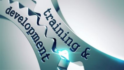 Gear wheels with the words training and development