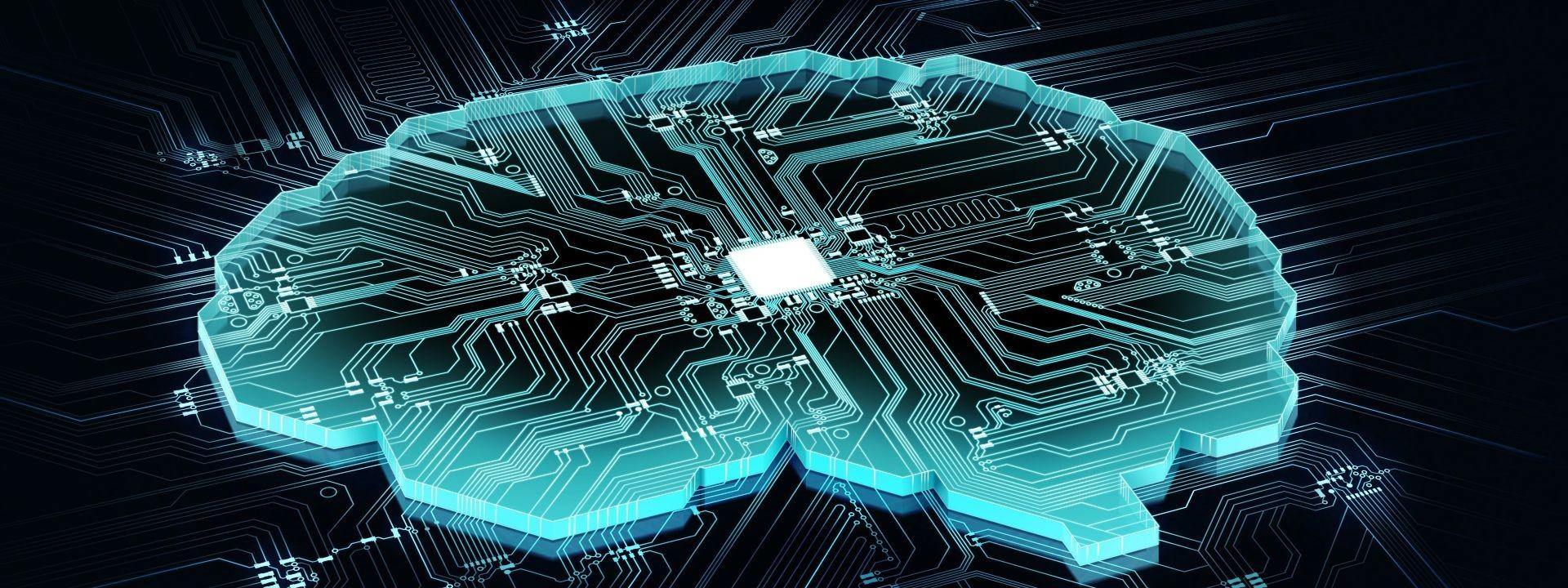 Brain slice with circuits